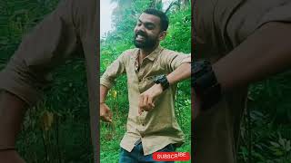 2 പേരും ആടി തിമർത്ത് വെറുപ്പിച്ച് മനോഹരമാക്കിയ ഒരു ഗാനം😁😁😁😁😁😍😍😍😍😍|| we try..but not perfect 🤏🤏📸