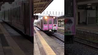 明日で見納めのピンクの名探偵コナン ラッピング列車short ver