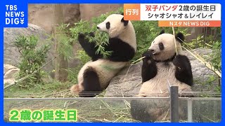 上野動物園の双子パンダ「シャオシャオ」と「レイレイ」２歳の誕生日迎える｜TBS NEWS DIG