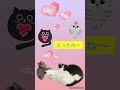 うちのねこ❣️おはようございます💖今日も楽しい一日を過ごすにゃん😸✨ だいすき あまえんぼ なかよし かわいい ねこの動画 おもしろい