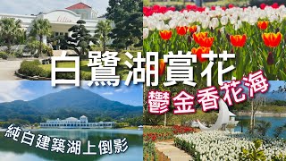 【香港好去處】大埔白鷺湖Lake House｜鬱金香花海綻放🌷/ 小白鷺餐廳Billow （附免費穿梭巴士位置）