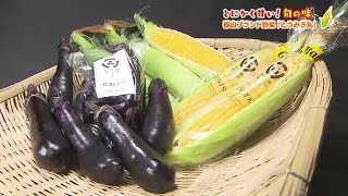 えっこれが野菜？まるでフルーツのような福島らしい名前の夏野菜を紹介 (2023年8月10日)