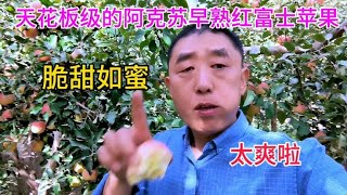 天花板级的新疆阿克苏苹果，晶莹剔透脆甜如蜜，你品尝或见过吗？