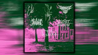 Sadness / Lichtblick / Sorrowful Life / Tiefstand / Enki / Winter Willow - To You... (Split) (2024)