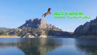 ALİ KAYASI'na Doğru Yürüyüş Yaptık