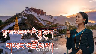 New Tibetan Song 2023 ལྷ་ས་མཇལ་བའི་གླུ་ཆུང་། གཡང་འཛོམས། Yangzom 4K