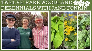 Twelve rare woodland perennials with specialist grower Jane Tonkin.