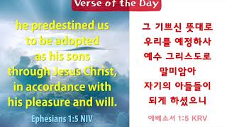 (BB말씀 0040) 영어말씀암송하기 Bible Verse Recitation (0040) - predestined us - Ephesians 1:5, 에베소서 1:5