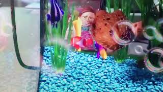 Finding Nemo Nemo meets Gil colorful