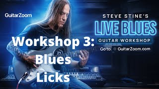 Live Blues Guitar Workshop #3: Blues Licks