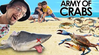 POOR Shark \u0026 the CRAB Invasion!  (FV Family gets Green Goblin @ the Beach)