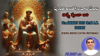 Rev. Fr. Ravi  SVD | 14-01-2024 | Tuesday Holy Mass in Telugu | Divine Word Centre,Muthangi |