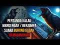 INILAH PERTANDA KALAU MENDENGAR ATAU BERJUMPA SUARA BURUNG GAGAK DI MALAM HARI