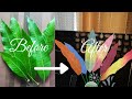 DIY| Mango leaf skeleton craft |skeleton leaves craft #Leafskeleton #Homedecorationideas