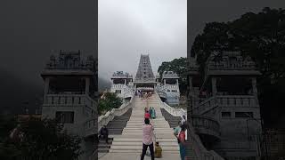 முருகன் கோவில் கோபுரம் 🙏🙏 #youtube #shortfeed #subscribe #beautiful #video #murugan #murugantemple