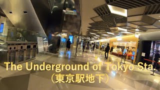 【Japan】The Underground Shopping Area of Tokyo Sta._230531⑦