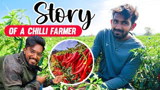 Inspiring Chilli 🌶️ Farmer Story from Kothagudem Telangana | AgroTill |