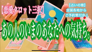 【恋愛タロット三択】【占い】あの人のいまのあなたへの気持ち。