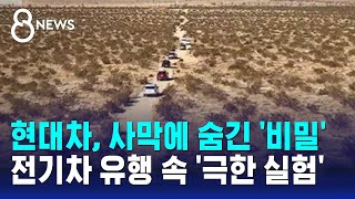 현대차, 사막에 숨긴 '비밀'…전기차 유행 속 '극한 실험' / SBS 8뉴스