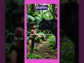 mogli the jungle book mogli baghira shortvideo