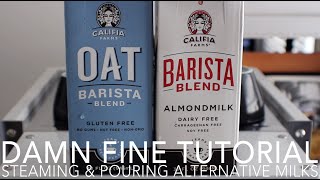 DAMN FINE TUTORIAL - Steaming \u0026 Pouring Alternative Milks