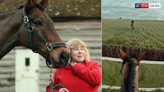 At home with Welsh National hope Mr Vango, Gold Cup hero Coneygree and the Bradstocks