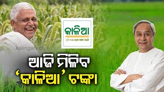 Odisha govt to provide Rs 2000 to 43 lakh farmers under Kalia Scheme today || KalingaTV