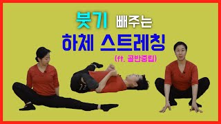 [ 붓기 잡는 스트레칭 ] 골반중립을 만드는 힘으로 하체근육 고루 스트레칭하기 / 등척성 마름모코어 스트레칭