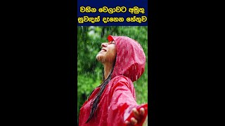 වැස්ස වෙලාවට අමුතුම සුවඳක් දැනන හේතුව මෙන්න #shorts #SathSamudura