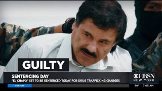 Drug Lord 'El Chapo' To Be Sentenced