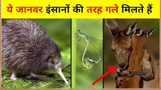 किसी अजूबे से कम नही है ये जानवर | 50 Interesting Facts about Animals #facts