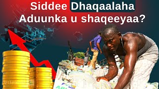 SİDDEE  DHAQAALAHA ADUUNKA UU U SHAQEEYAA? (Economic Perspective).