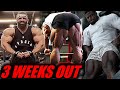 MR. OLYMPIA 2024 - 3 WEEKS OUT - 17 Contestants Updates 🔥