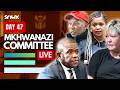 Mkhwanazi Ad Hoc finalises Ramaphosa questions