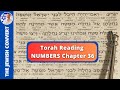 Torah Reading | Numbers Chapter 36 in Hebrew with English Translation