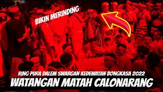 WATANGAN MATAH | CALONARANG WAYAN MERENG | RING PURA DALEM SWARGAN KEDEWATAN BONGKASA TAHUN 2022