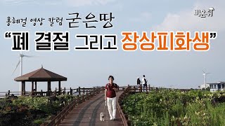 홍혜걸의 굳은땅 #2 \