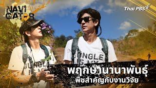 พฤกษานานาพันธุ์ พืชสำคัญกับงานวิจัย | Navigator