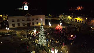 Mikołajki z rozświetleniem choinki