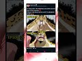 luffy vs lucci is the most badass fight ever 🔥 luffy lucci onepiece reaction edit anime