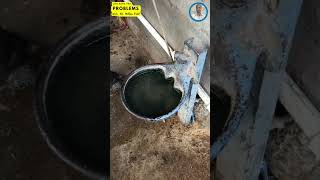 अतिशय सोपी आणि स्वस्त २४ तास पाणी सिस्टीम खास म्हैशींसाठी | 24/7 Water System for Gotha