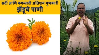 सर्दी आणि कफसाठी अतिशय गुणकारी झेंडूचे पाणी / दामले उवाच २१७ / Medicinal Properties of marigold