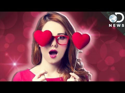 The Science Behind Love At First Sight The Science Behind Love At First Sight