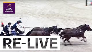 RE-LIVE | Competition 2 - FEI Driving World Cup 2024/25 Geneva (SUI)