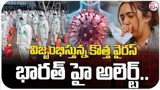 విజృంభిస్తున్న కొత్త వైరస్ | HMPV Virus Outbreak in China: Symptoms, Spread \u0026 Latest Updates