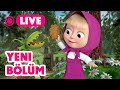 🔴 LIVE! Maşa İle Koca Ayı | 🥳 Yeni bölüm | Bitkini nasıl eğitirsin? 🪴| Masha and the Bear