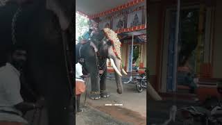 ചിറക്കാട്ട് അയ്യപ്പൻ