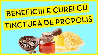 Tinctura De Propolis antibiotic natural | beneficii tinctura de propolis pentru imunitate