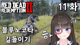 【레데리2】 11화 블루 노코타 겟또!!! (Red Dead Redemption 2)