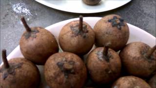 Sapota/Chikku Fruit